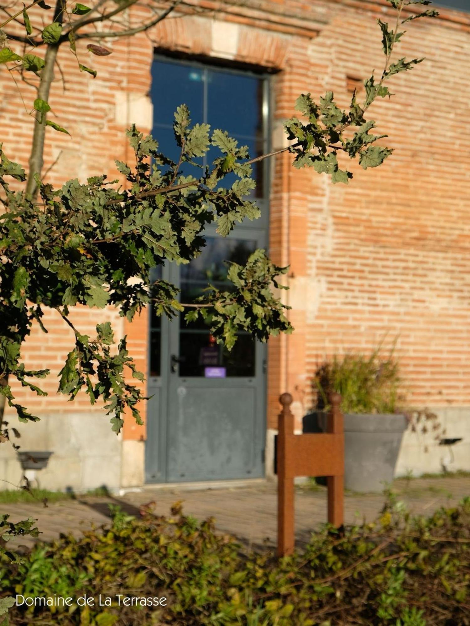 Domaine De La Terrasse Leilighet Carbonne Eksteriør bilde